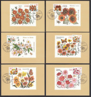 DDR 1982 Maximumkarten Mi.2737-42 Herbst-Blumen Satz   (25960 - Other & Unclassified