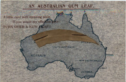 An Australian Gum Leaf - Other & Unclassified