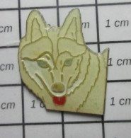 616C Pin's Pins / Beau Et Rare / ANIMAUX / LOUP BLANC Bien Connu De Tous ! - Animaux