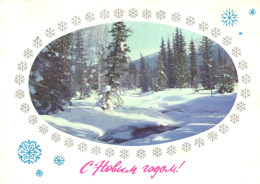 NEW YEAR, CELEBRATION, FOREST, MOUNTAIN, RUSSIA, POSTCARD - New Year