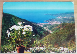 CARTOLINA ITALIA 1974 GOLFO DEL TIGULLIO Italy Postcard ITALIEN Ansichtskarten - Genova (Genoa)