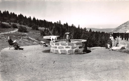 42-MONT PILAT-N°3760-E/0167 - Mont Pilat