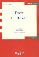 Droit Du Travail (2008) De Jean Pelissier - Recht