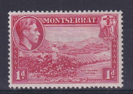 Montserrat: 1938/48   KGVI   SG102    1d  [Perf: 13]    MH - Montserrat