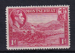 Montserrat: 1938/48   KGVI   SG102a    1d  [Perf: 14]    MH - Montserrat