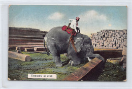 BURMA - Elephants At Work - Publ. D. A. Ahuja 11 - Myanmar (Birma)