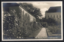 AK Dachau, Partie Im Schlossgarten  - Dachau