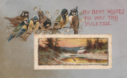 4888147My Best Wishes To You This Yuletide. 1906. (Kaart Met Glitters)  - Neujahr