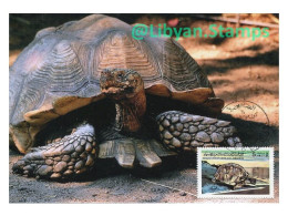 LIBYA 1979 Turtles Testudo "Geochelone Sulcata" Wildlife WWF Animals Reptiles (maximum-card) - Turtles