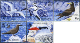 183449 MNH ASCENSION 2005 FESTIVAL MUNDIAL DE AVES - Ascension