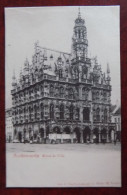 Cpa Audenarde ; Hôtel De Ville - Oudenaarde