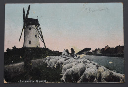 Damme - Paysage De Flandre - Envoi Allemand En 1915 - Sans éditeur - Damme