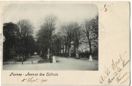 Furnes Avenue Des Tilleuls Circulée En 1901 - Veurne