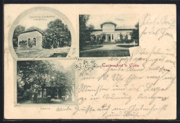 AK Lachendorf B. Celle, Gasthaus Lindenhof, Garten, Villa Von F. Thies  - Celle