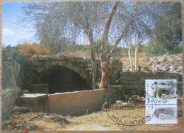 ISRAEL 2001 MAXIMUM CARD PALPHOT POSTCARD SEGERA ILANIYA FIRST DAY OF ISSUE STAMP CARTE POSTALE POSTKARTE CARTOLINA - Cartes-maximum