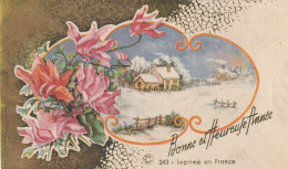 110 - MIGNONETTE BONNE ET HEUREUSE ANNEE . PAYSAGE ENNEIGE FLEURS . FOX 243 . SCAN - Neujahr