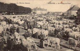 21 , Cpa SAULIEU , Le Champ De Foire (16535.L03) - Saulieu