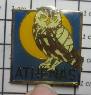 616c Pin's Pins / Beau Et Rare / ANIMAUX / ATHENAS OISEAU RAPACE Pas Naomi ! CHOUETTE HIBOU - Animaux