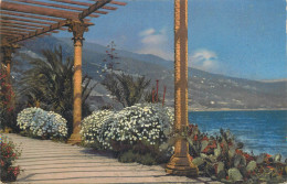 AK Kunstlerkarte Photochromie Riviera Di Ponente Bordighera Serie 138, No. 2637 - Altri & Non Classificati