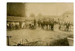 COMBS LA VILLE - Ferme Du Chêne Moreau Paul UHL à Combs La Ville. Carte-photo - Combs La Ville