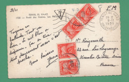 Carte Postale D' Algérie Teniel El Haad Forêt Des Cèdres Taxée 4 Timbres Taxe à 10 Frs En 1959 - 1859-1959 Storia Postale