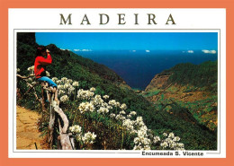 A713 / 305 MADEIRA Vue De S. Vicente - Madeira