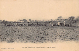 Guinée Conakry - YRI-KIRI - Ferme Labour - Ed. G. Et C. 29 - Frans Guinee