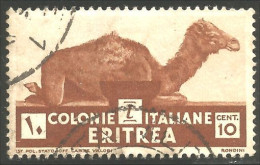 521 Eritrea 1934 10c Dromadaire Camel (ITC-91) - Eritrea