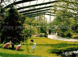 72655706 Walsrode Lueneburger Heide Vogelpark  Walsrode - Walsrode