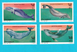 FAU1056- SOMÁLIA 1999- MNH (BALEIAS) - Whales
