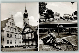 39135991 - Celle - Celle