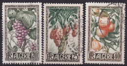 Algeria 1950 Sc 229-31 Algérie Yt 279-81 Set Used - Used Stamps