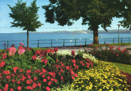 BREGENZ, VORARLBERG , BOAT, GARDEN, PARK, SHIP, AUSTRIA, POSTCARD - Bregenz