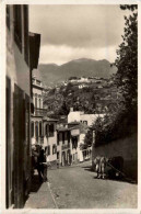 MAdeira - Strasse In Funchal - Madeira