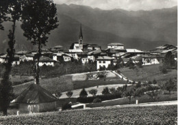 SMARANO - PANORAMA - F.G. - Trento