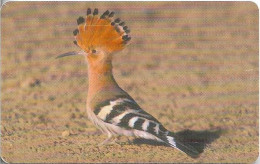 Oman - Omantel (Chip) - Birds, Hoope, 05.2002, 400.000ex, Used - Oman