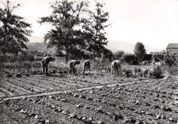 11-LIMOUX-N°3411-A/0141 - Limoux