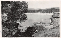 83-LE LAVANDOU-N°3414-E/0205 - Le Lavandou