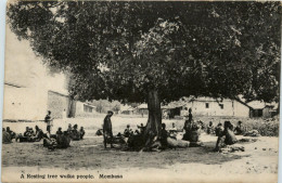 Mombasa - Resting Tree - Kenia