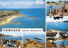 35-CANCALE-N°3420-A/0271 - Cancale