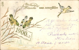 Gaufré CPA Glückwunsch Neujahr 1900, Vögel Am Baum - Nieuwjaar