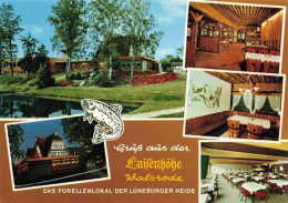 73988682 Walsrode_Lueneburger_Heide Restaurant Luisenhoehe Gastraeume Speisesaal - Walsrode