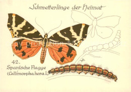 73810675 Schmetterlinge Schpanische Flage  - Butterflies