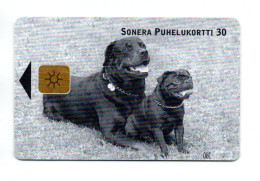 Chien Dog Télécarte Finlande Phonecard  ( A 345) - Finland