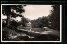 AK Pirmasens, Blick Durch Bäume Auf Den Beckenhof  - Pirmasens