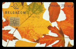 Belgium 200 BEF Chip Phonecard Used + FREE GIFT - Avec Puce