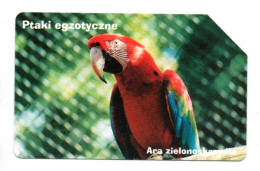 Perroquet Parrot Oiseau Bird Vogel Télécarte Pologne Phonecard (A 372) - Polen