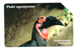 Oiseau Bird Vogel Télécarte Pologne Phonecard (A 373) - Polen