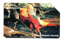 Oiseau Bird Vogel Télécarte Pologne Phonecard (A 374) - Polen