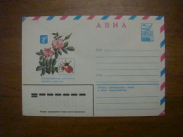 1981 Envelope USSR AVIA. Rosehip Cinnamon (B3) - Azerbeidzjan